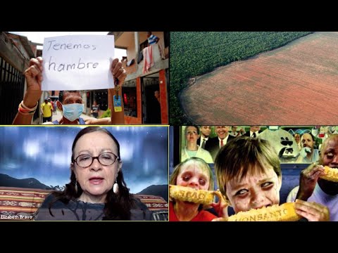 Impactos ambientales y socioeconómicos del maíz transgénico en Colombia