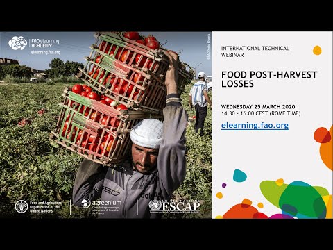 Webinar: Sistemas alimentarios sostenibles y nutrición: Pérdidas postcosecha de alimentos