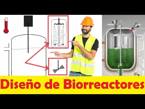 Diseño de Biorreactores