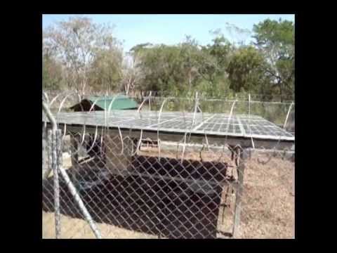 Montaje para el bombeo de agua mediante energía solar