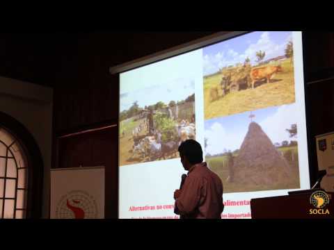 Sistemas agroecológicos ecológicamente eficientes