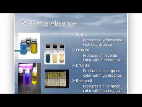 Safe Drinking Water from Source to Tap / BioForum