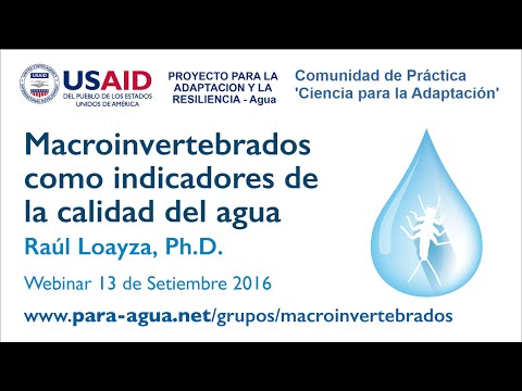 Webinar. Macroinvertebrados como indicadores de la calidad de agua