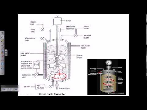 Introducción a la Microbiología Industrial