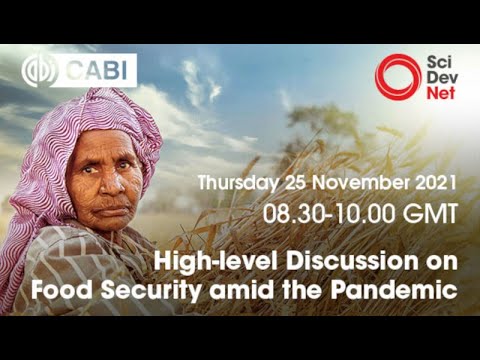 Debate de alto nivel sobre seguridad alimentaria en medio de la pandemia