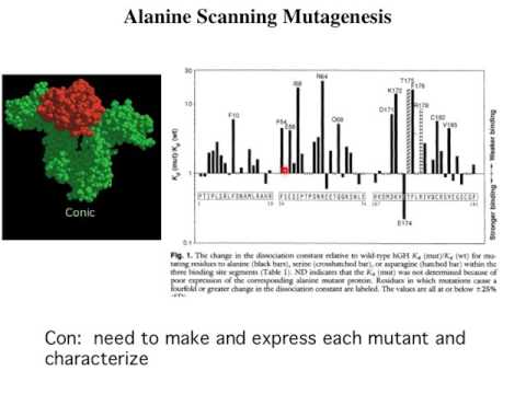 Semana 5 - Ingeniería de proteínas, lección 5: mutagénesis