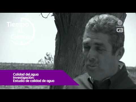 Calidad del agua