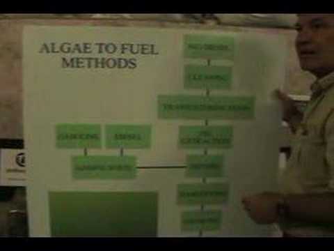 Algae to Fuel Methods