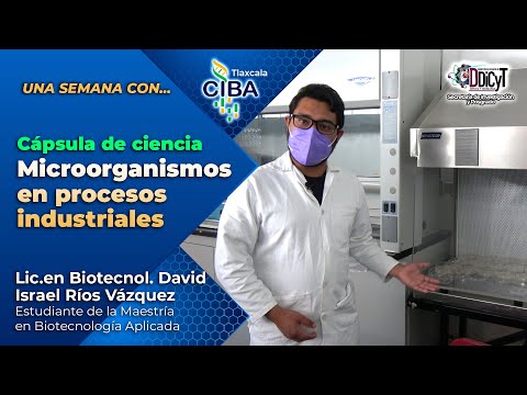 Microorganismos en procesos industriales