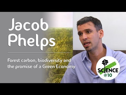 Carbono forestal, biodiversidad y la promesa de una economía verde.