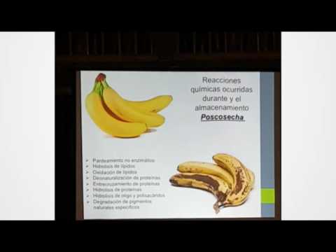 Empaques compuestos para alimentos basados en biopolímeros agroindustriales renovables