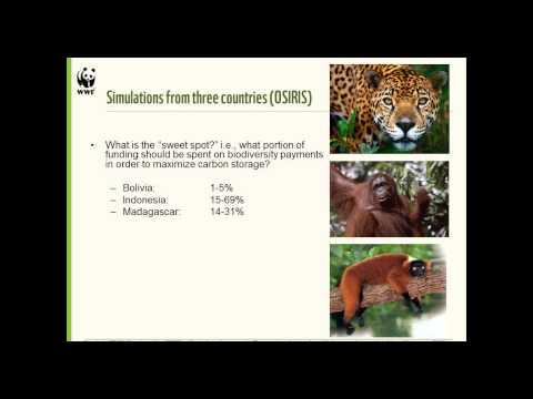  Complementar REDD + con Pagos de Biodiversidad.