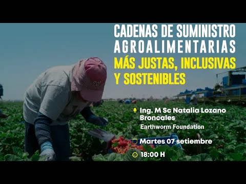 Futuras orientaciones de la sostenibilidad en la fabricación de productos químicos