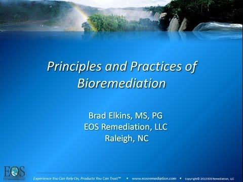 Principios y prácticas de biorremediación