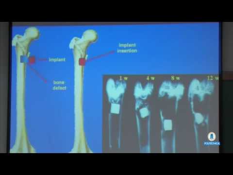 Biominerales vs biomateriales