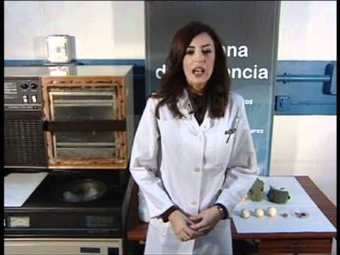 Proceso de liofilización