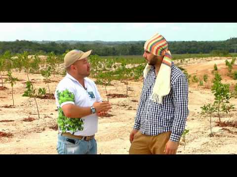 Escuela de Campo - Reforestación, recuperación de suelos mineros en Bajo Cauca - 29 de noviembre