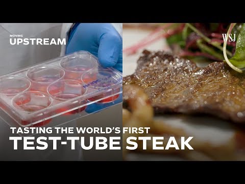 Degustando el primer filete de probeta del mundo