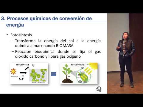 Microalgas como fuente de energía