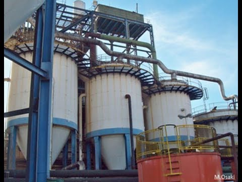  Producción industrial a escala de microalgas Biodiesel, Ceprobio P7:  Ingeniería del problema de acoplamiento bio / foto / fluido-dinámico en fotobiorreactores para el reciclaje de CO2 y nutrientes de un proceso industrial de producción de bioetanol.