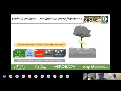 Estrategias de mitigación de cadmio: Una mirada crítica desde el proyecto cacao 2030 2050