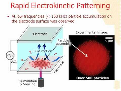 Analizando un desastre: un personaje a nanoescala tropieza con un megaproblema. Parte 1/7