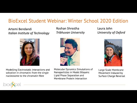 Seminario web para estudiantes de BioExcel: Edición Winter School 2020