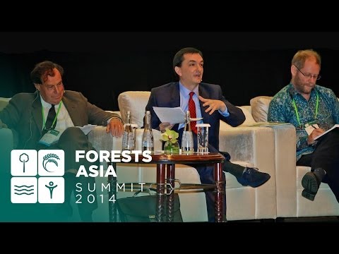Foro de discusión: enfoques innovadores para la financiación de retornos verdes inclusivos
