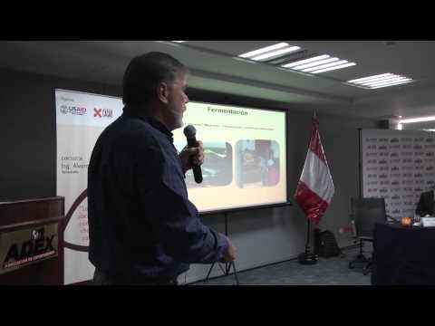El beneficio post cosecha de cacao fino de aroma. [Parte 2]