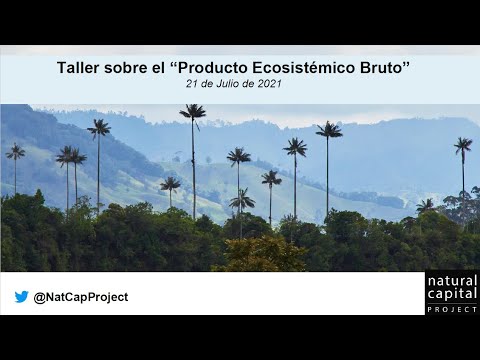 Taller de Producto Bruto del Ecosistema (GEP) en Colombia 