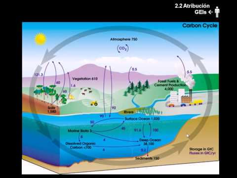 Explicando el cambio climático