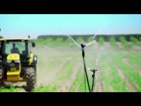Producir más con menos (agua)