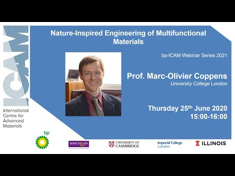 Seminario web bpICAM 2020: Diseño de materiales multifuncionales de inspirados en la naturaleza