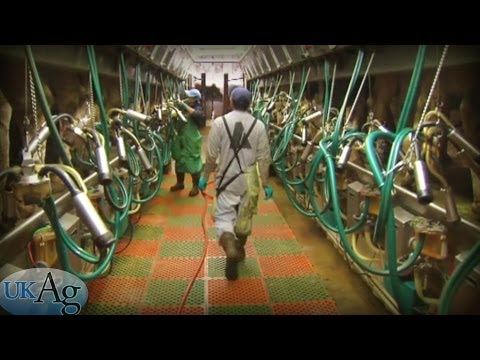 Procedimientos de ordeño para una leche de máxima calidad