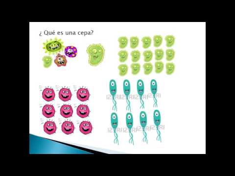 Cepario en el área de microbiología de alimentos acorde a ISO 17025