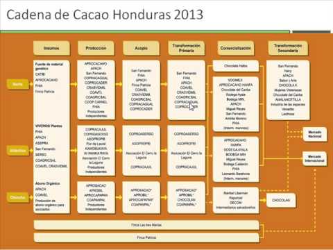 Prácticas exitosas en los eslabones de la cadena de valor de cacao, 2013