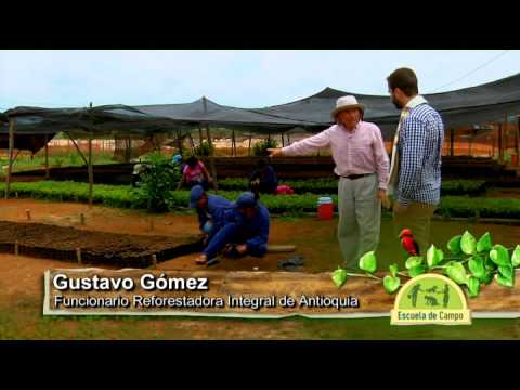 Escuela de Campo - Vivero para recuperación de suelos degradados por minería - 15 de noviembre