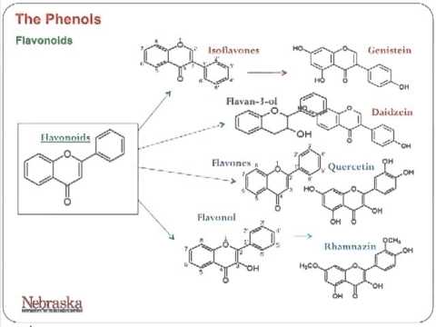  Cultivos orgánicos crecieron en Nebraska Antioxidantes basados ​​en fenol.