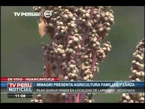 Quinua: agricultoras de Huancavelica se reunieron con viceministro y Primera Dama