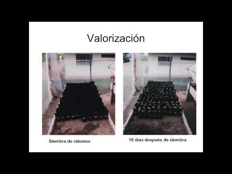 Valorización de residuos peligrosos. Gestión de residuos hospitalarios y similares
