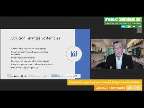 Seminario web 1 - Bonos Objetivos de Desarrollo Sostenible (ODS) /SDG bonds Webinar