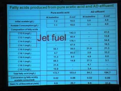 Ingeniería metabólica para convertir residuos de digestión anaerobia en biocombustible