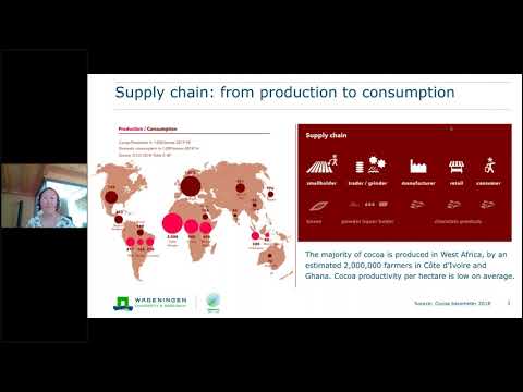 Red de SDSN sobre sistemas agrícolas y alimentarios sostenibles: un ingreso vital para los productores de cacao