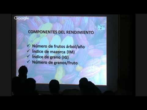 Modelos de siembra en cacao para afrontar los nuevos retos del cultivo en Colombia