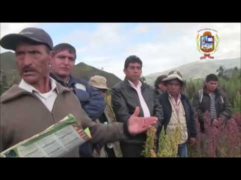Capacitación para el cultivo de la quinua