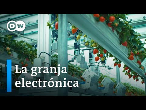 Enlaces - La granja electrónica