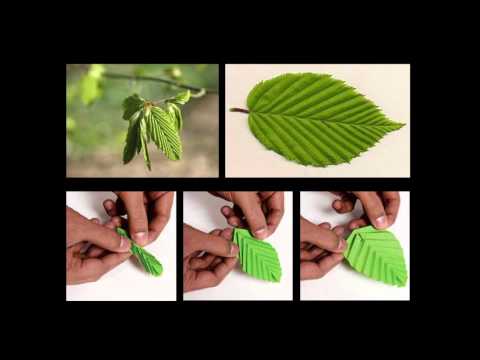 Michael Pawlyn - La biomímica en el diseño arquitectónico