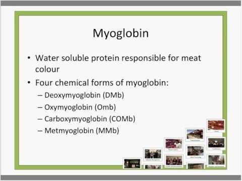 La ciencia de la estructura muscular y calidad de la carne