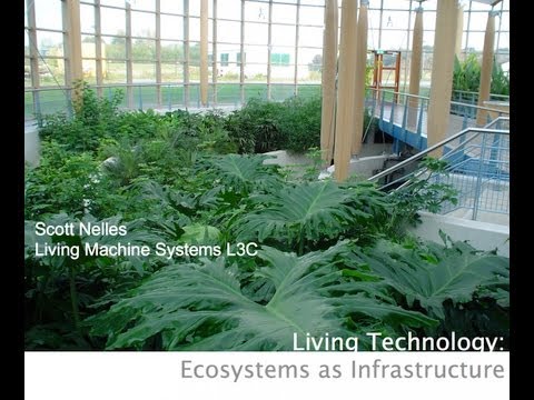 Tecnología viva: ecosistemas como infraestructura