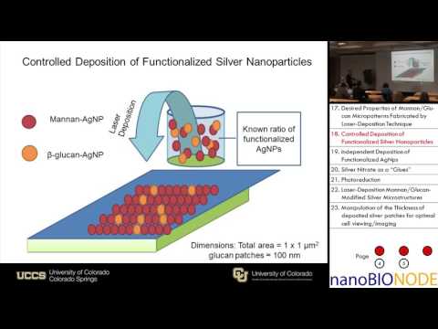 Nanofabricación asistida por láser de superficies funcionales biomímicas plasmónicas (Anatoliy Pinchuk)